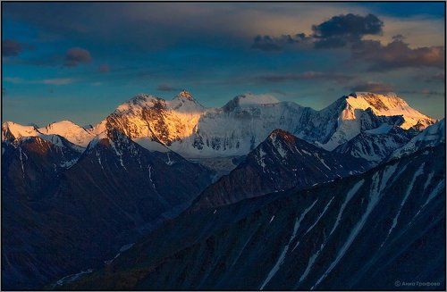 Белуха закатная