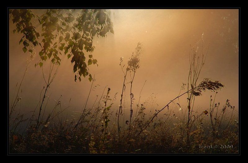 залитые светом фото превью