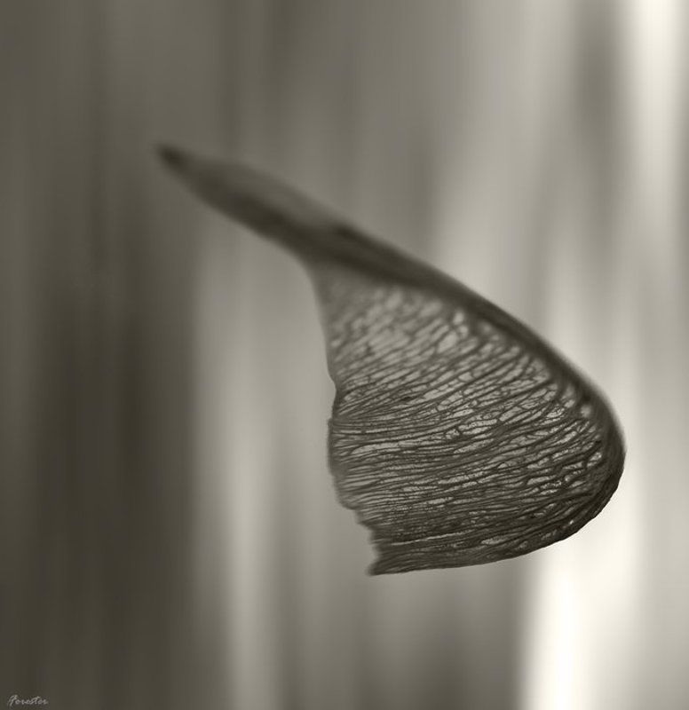 осень Вертолёт фото превью