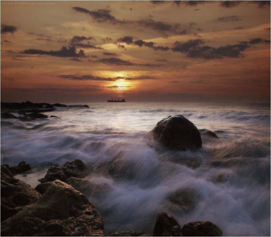 , Яна  Гайворонская