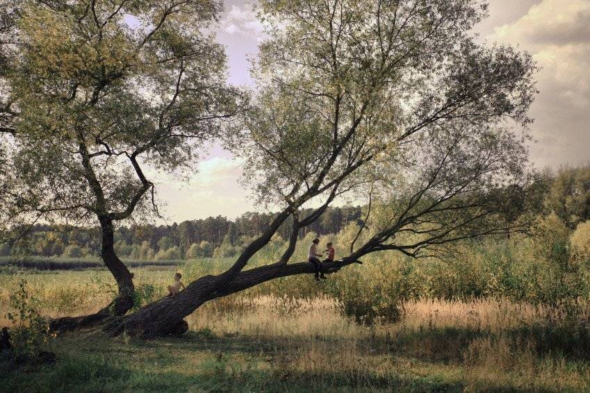 , Эдуард VTORNIK  Николаев