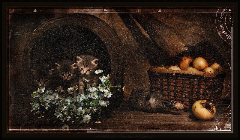 И нежности немного... фото превью