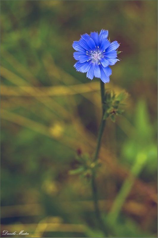 Один... фото превью