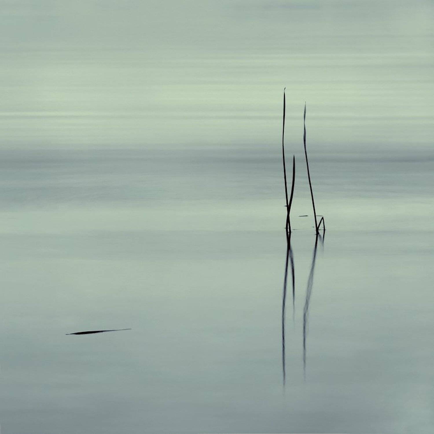 , Максим Евдокимов