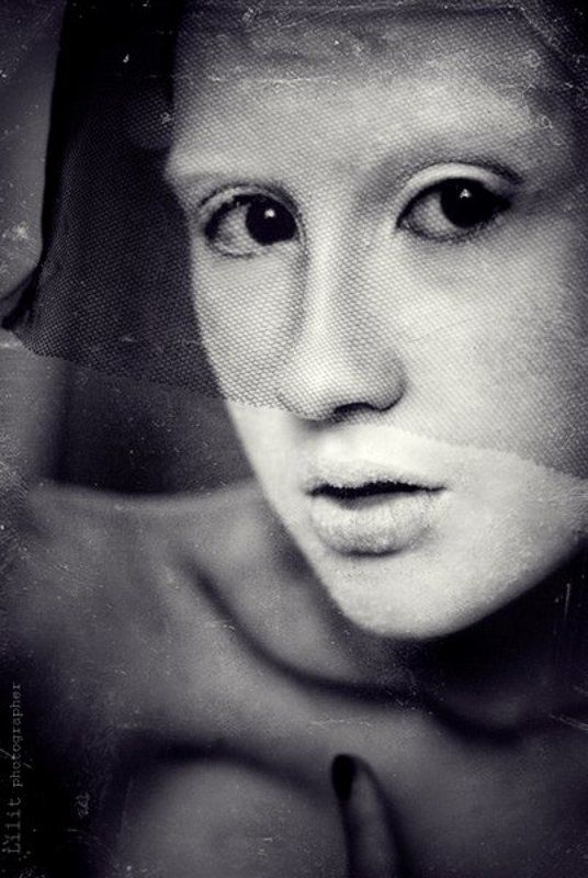 Глазастик финч фото превью