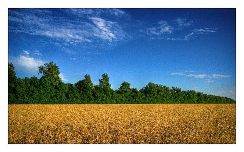 лето 3 - Колор фото превью