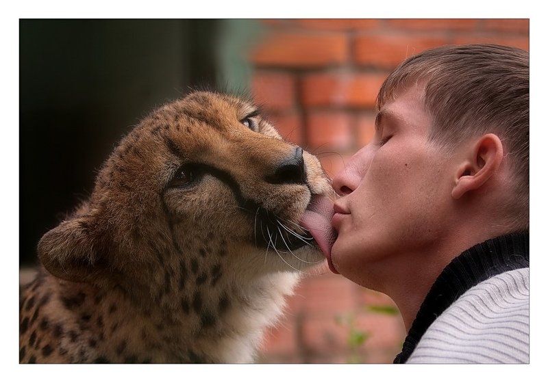 Love is... фото превью