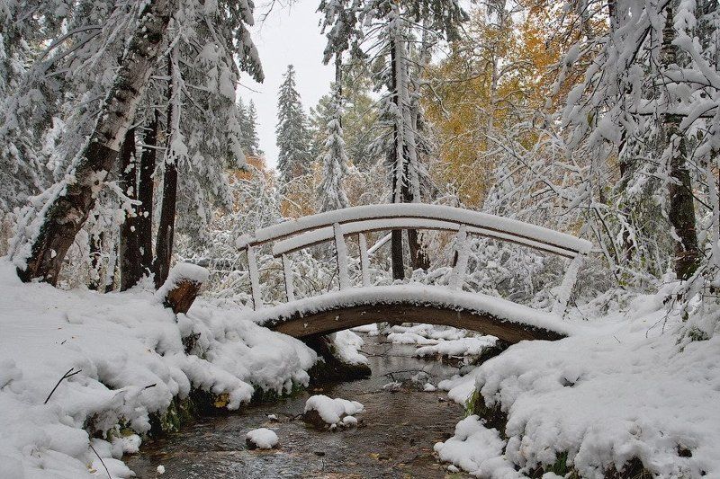 бурятия, улан-удэ, сентябрь, снег, снегопад  фото превью