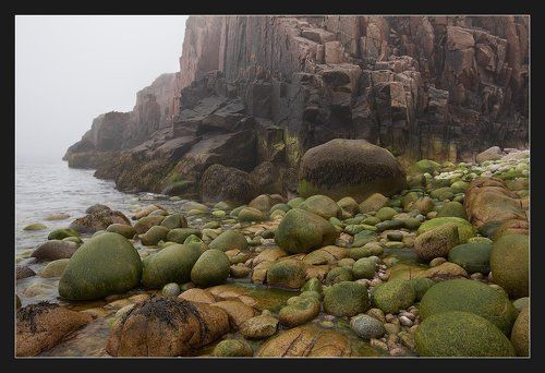 Холодный берег холодного моря