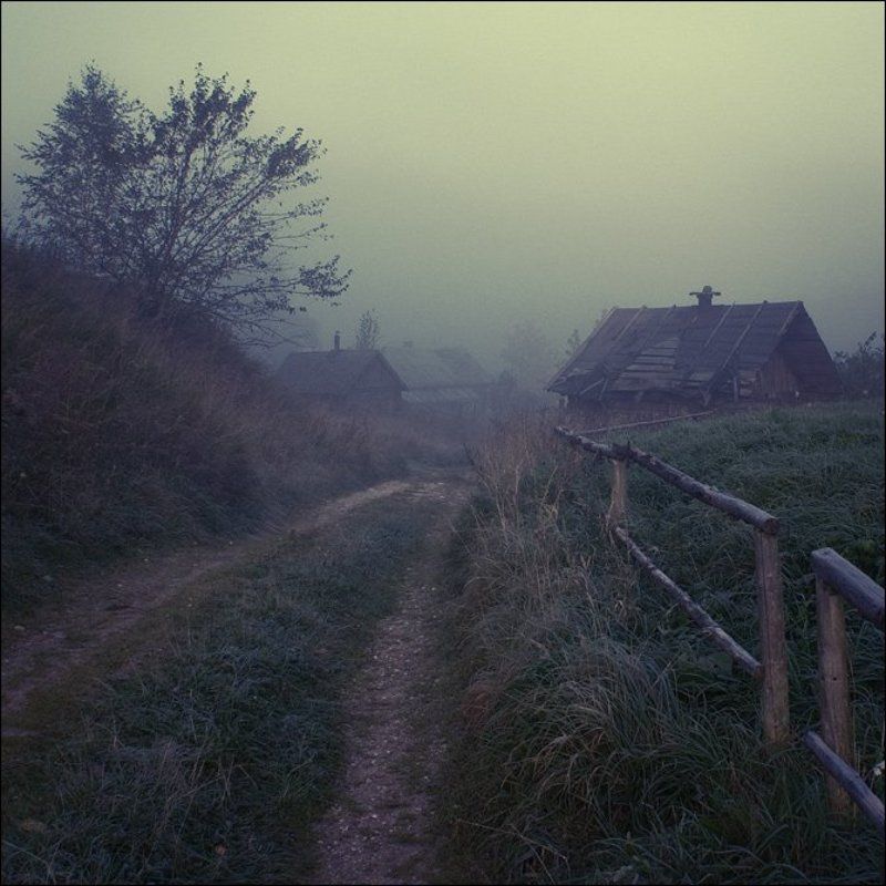 Выдропужск (080923-PICT8596) фото превью