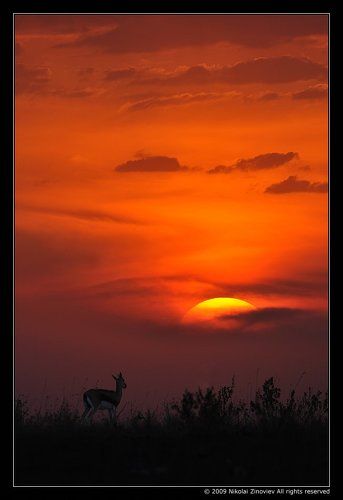 Солнышко, не уходи...