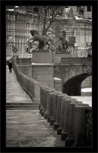 Про коняшек серой питерской зимой