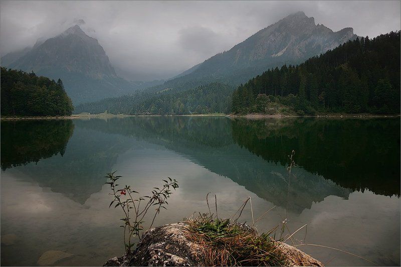 мелодия, осенней, воды Мелодия осенней воды фото превью