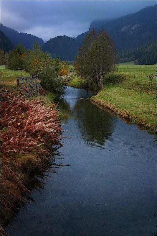 швейцария, alps, swiss, switzerland Вечерний ручей фото превью