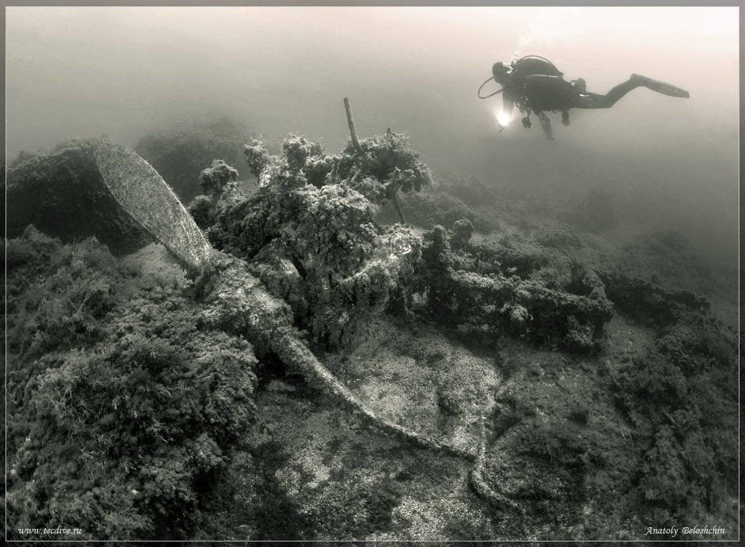 черное, море, херсонес, истребитель, самолет, рэк, anatoly, beloshchin, подводное, фото, Anatoly  Beloshchin