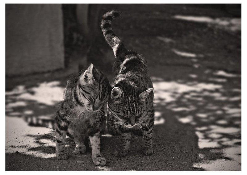 Про любовь фото превью