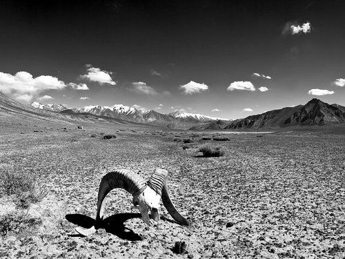 Такой разный Памир 6