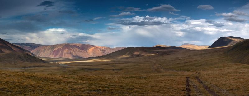 Про Монгольские дороги, стада и вечерний свет... фото превью