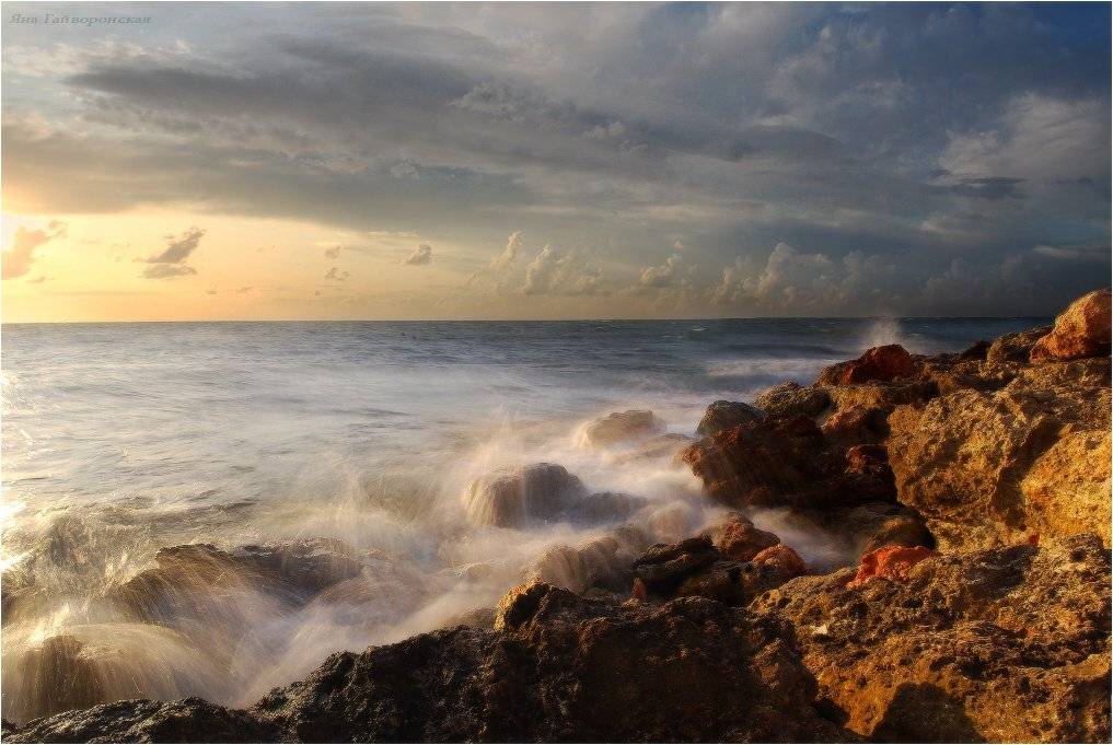 , Яна  Гайворонская