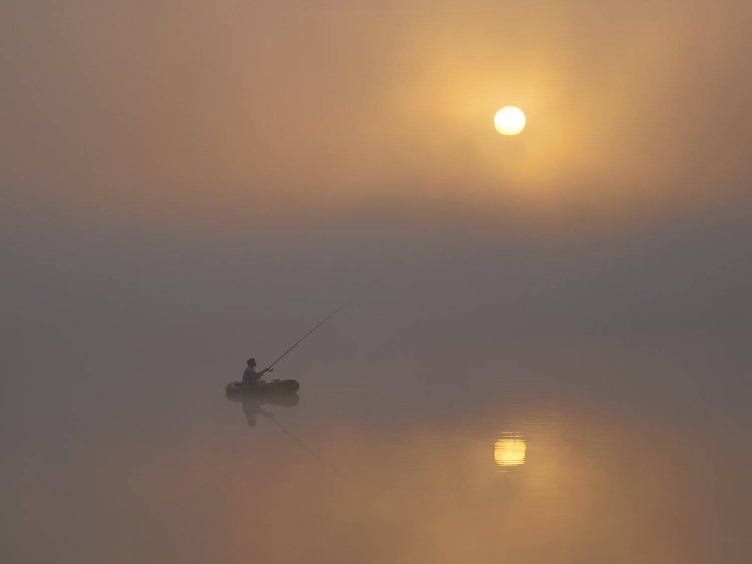 , Максим Евдокимов