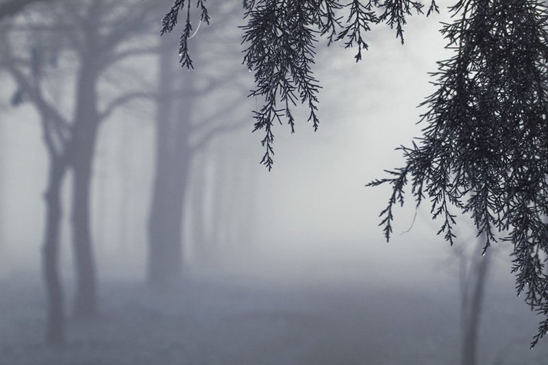 Настроение фото превью