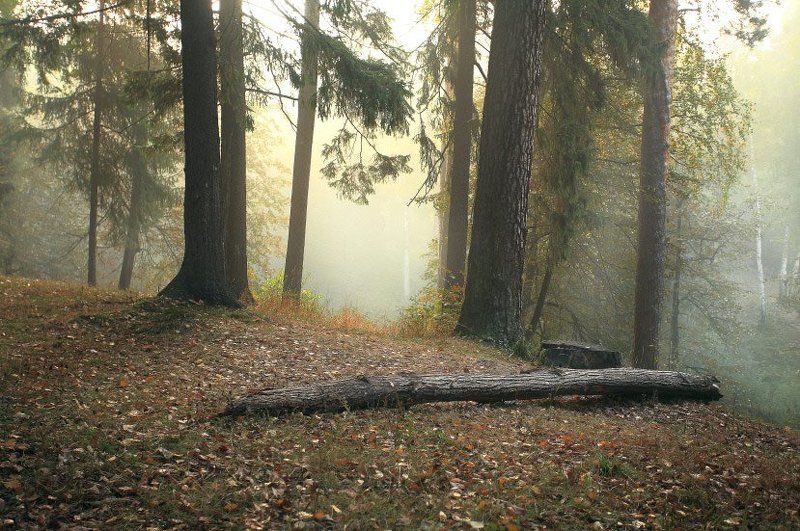 * * * фото превью
