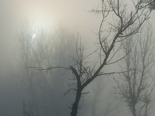 Серия 