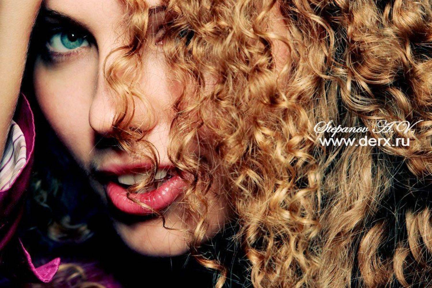 кудряшка, Александр Степанов