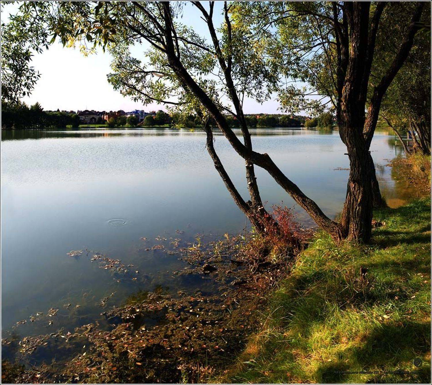 , Герман Корнилов