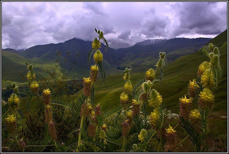 кавказ фото превью