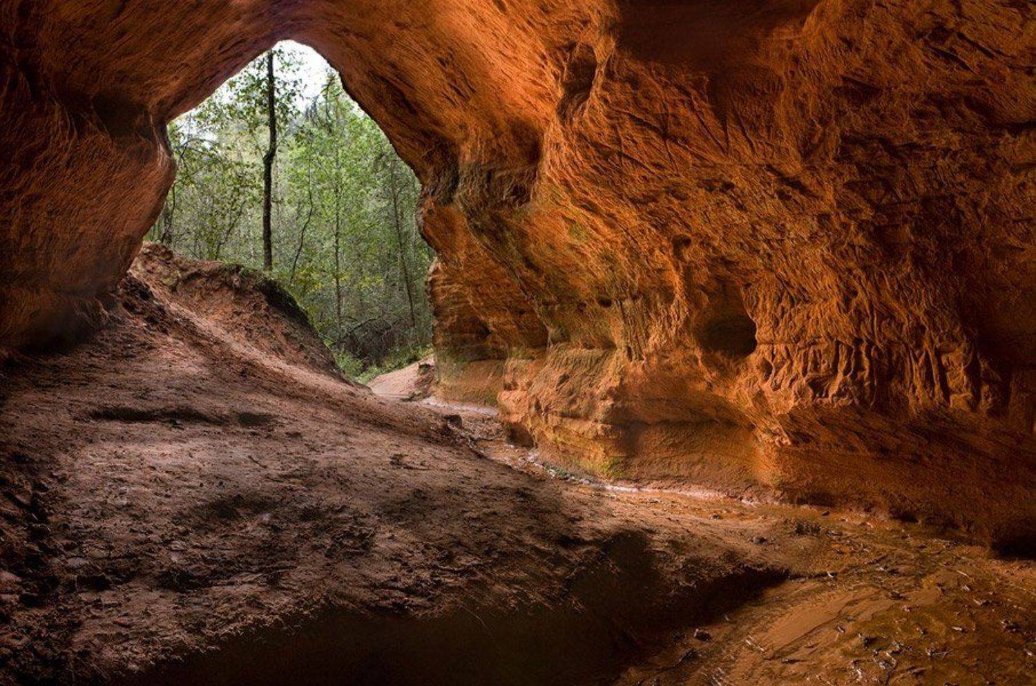, Александр Петренко
