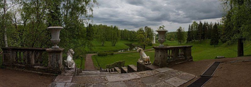 кошки фото превью