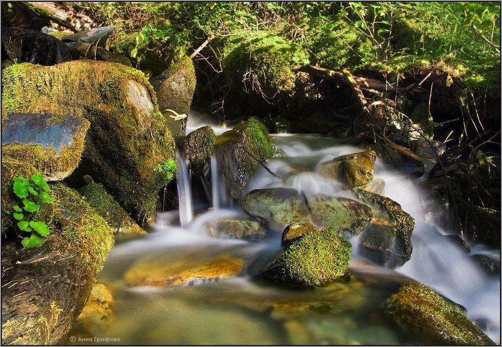 алтай, горы, горный алтай, ручей, мох, аня графова, Аня Графова