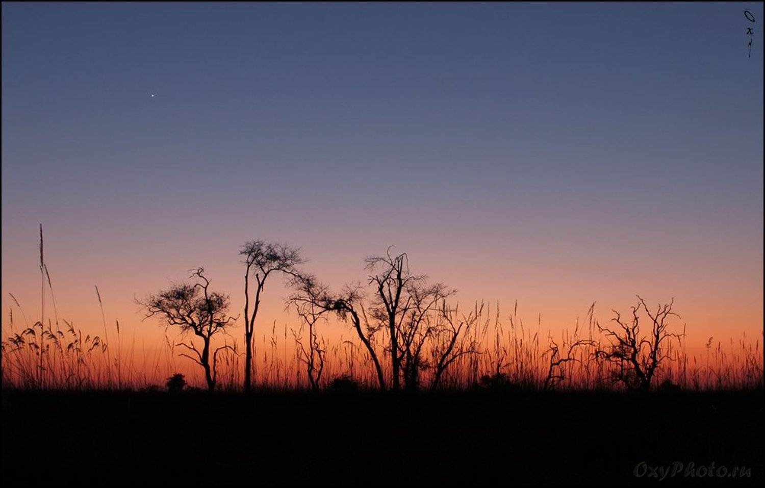 мореми, moremi, дельта окаванго, okavango delta, ботсвана, botswana, африка, africa, Оксана Борц