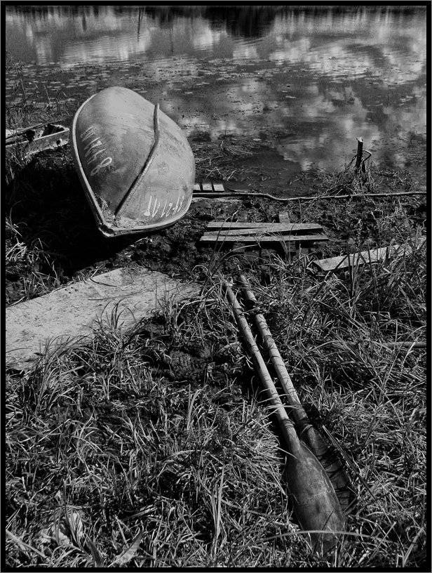 , Лунный Ежик