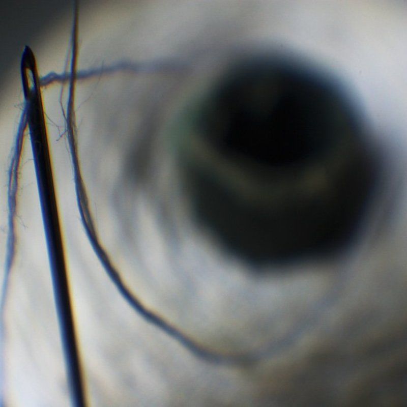 IMGP7137c.jpg фото превью