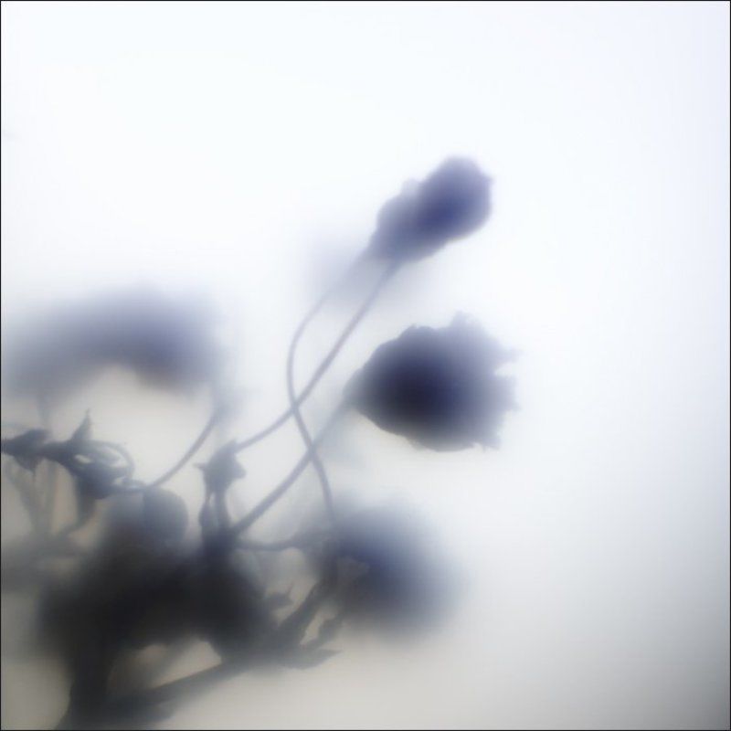 IMGP7183.jpg фото превью