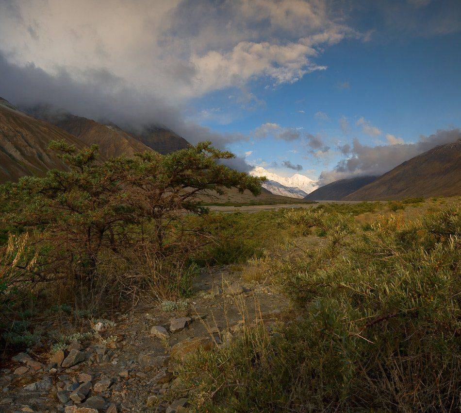 памир 2009, поход, долина реки танымас, Андрей Chogori Громов