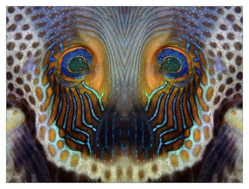 Глаза в глаза