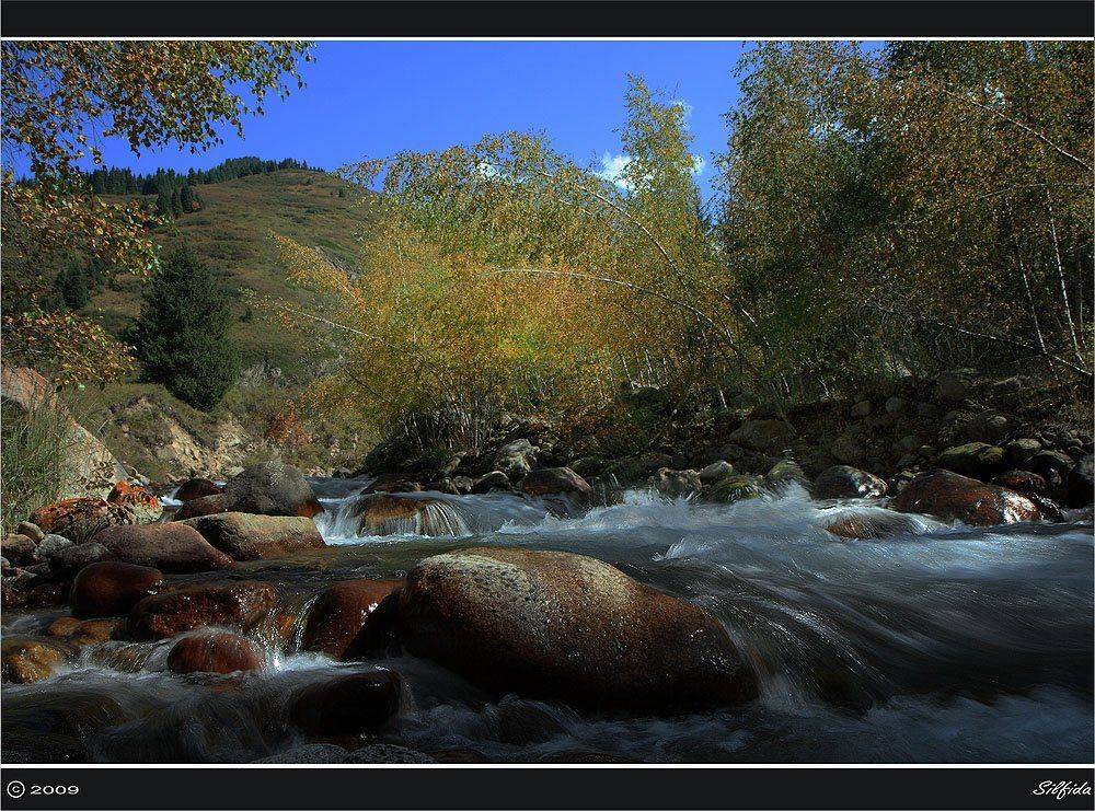 природа, река, осень, Silfida