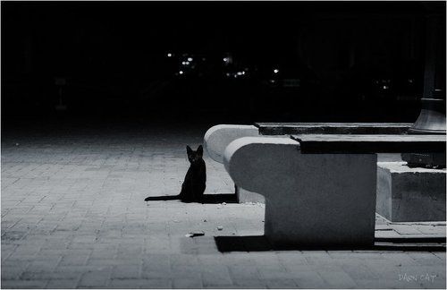 Ночь в порту