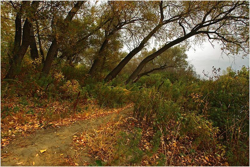 элегия фото превью