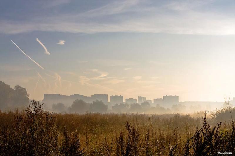утро, туман, любимый Мираж фото превью