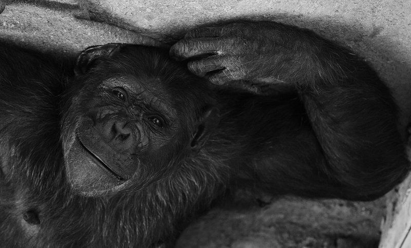 Улыбнись этому миру фото превью