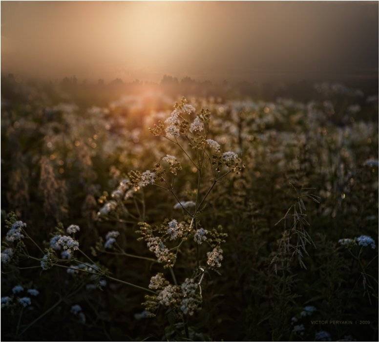 , Виктор Перякин