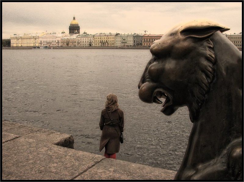 Хищник фото превью