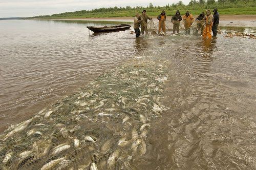 из жизни рыбаков#4