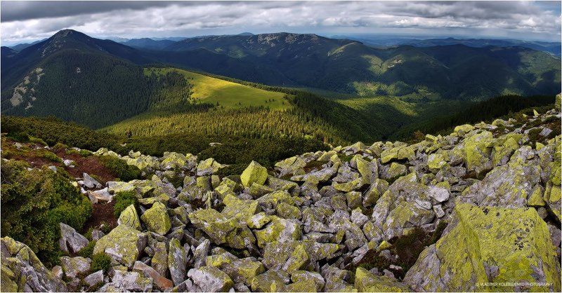 карпаты, хомяк Про камни фото превью