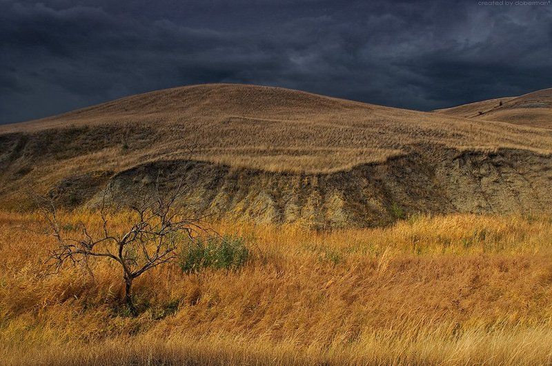 Донские зарисовки: Предгрозовое фото превью