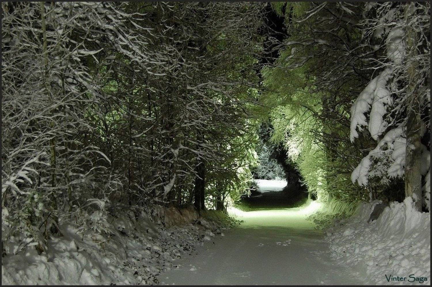 сказка,пейзаж,природа,швеция,скандинавия,лапландия,заполярье,зима,снег, Елена